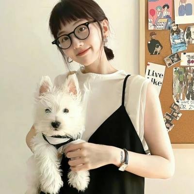 贾方复仇记